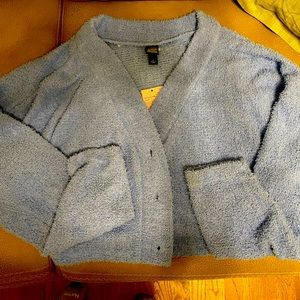 Light Blue Wild Fable sweater